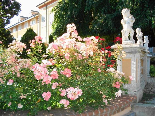 Park Hotel Villa Salzea Trofarello Eksteriør billede